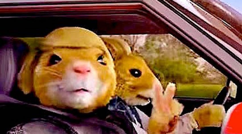 Julie Dolan as Keytar Hamster | "Kia Soul" Commercial